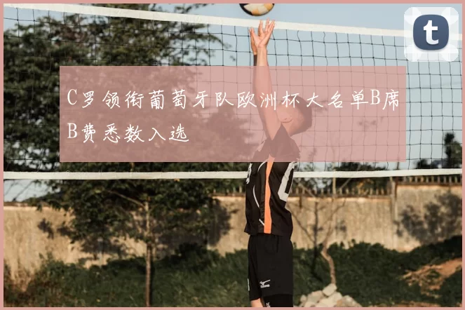 C罗领衔葡萄牙队欧洲杯大名单B席B费悉数入选