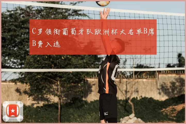 C罗领衔葡萄牙队欧洲杯大名单B席B费入选