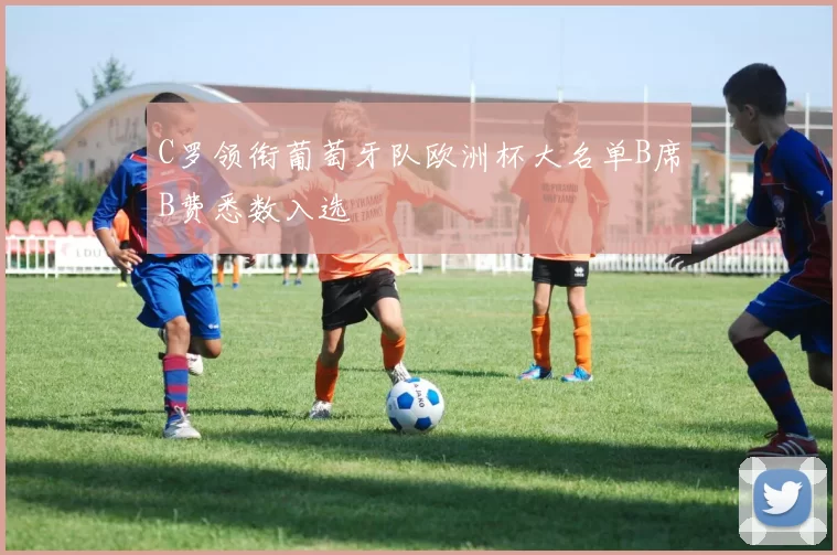 C罗领衔葡萄牙队欧洲杯大名单B席B费悉数入选